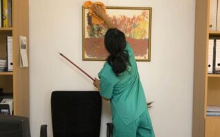 Regular house cleaning services