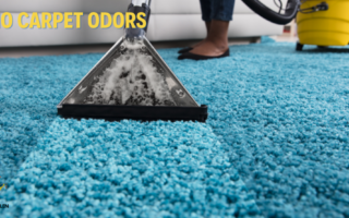 Carpet odors