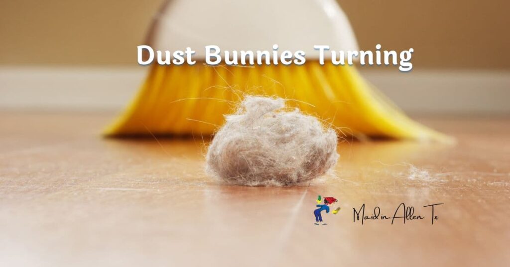 Dust Bunnies Regular House Cleaning in McKinney Tx