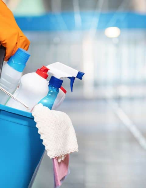 Biweekly Cleaning Services