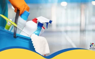 Regular Cleaning in Plano Tx