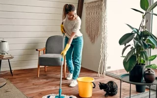 House Cleaning Tips for Busy People