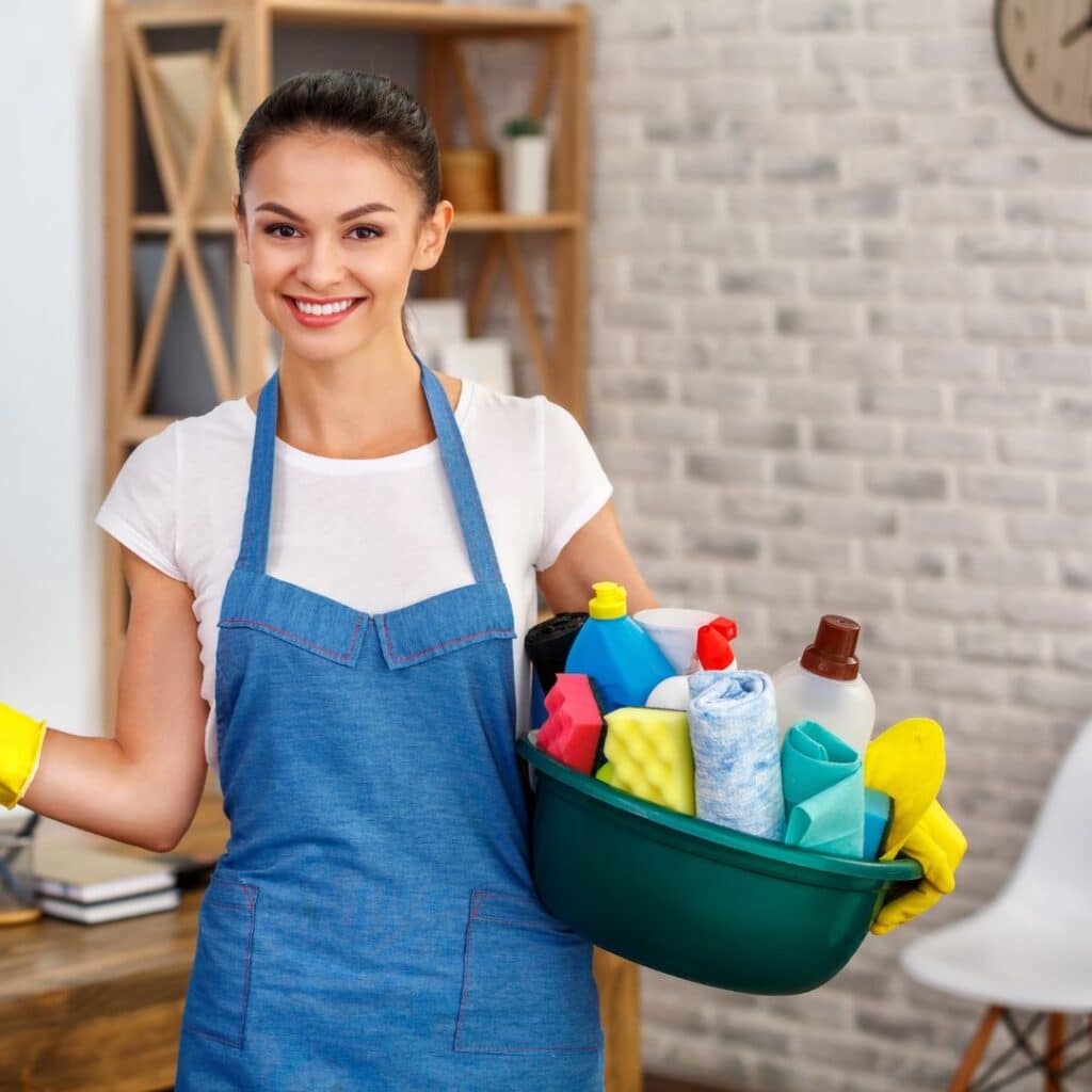 Regular Home Cleaning Pros