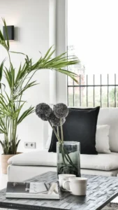 Apartment Cleaning in Allen TX