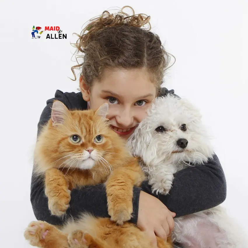 Pet-Friendly House Cleaning Allen TX Pet-Friendly House Cleaning Allen TX